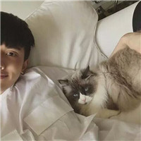 单身男的适合什么头像8