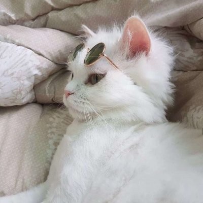 比较污的男生动漫头像7