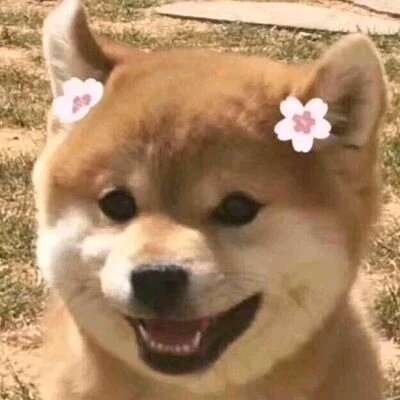 哈利波特女生闺蜜头像真人图片10