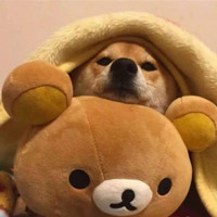 qq男生抖音动漫头像大全图片4