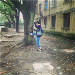 10组静地的钉钉头像图片13