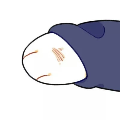 王者猫猫头像3