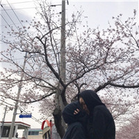 头像黑系列13