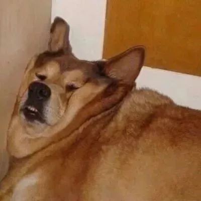 抖音同款情侣头像4