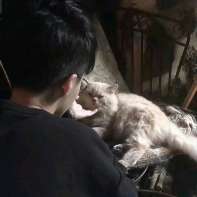 搞笑猫咪头像图片微信头像3
