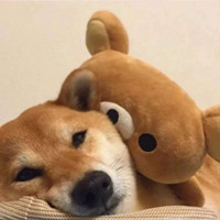 有哪些男生头像5