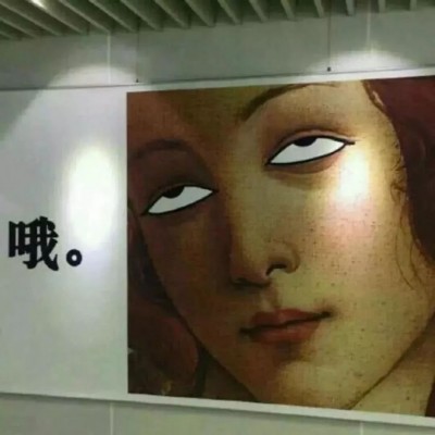 乐高蜥蜴人变身小动物头像搞怪9