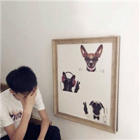 单身老虎头像5