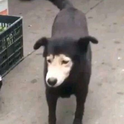超仙可爱女生真人头像4