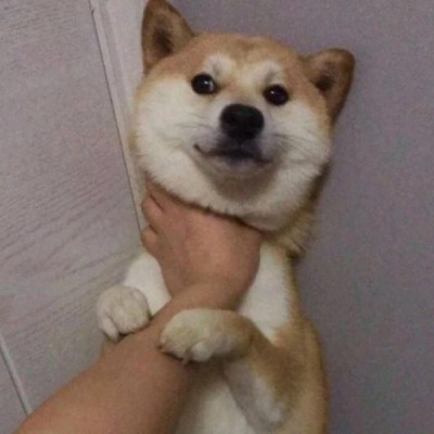 好看头像哪吒敖丙6