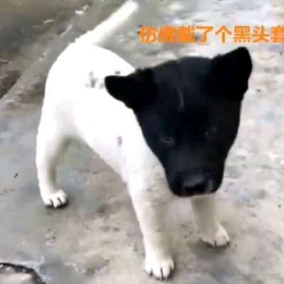 微信头像幻境唯美5