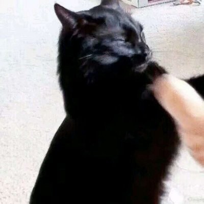超仙可爱女生真人头像5