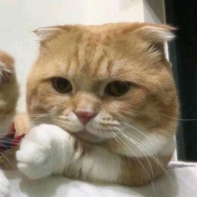 qq男头像黑色系1