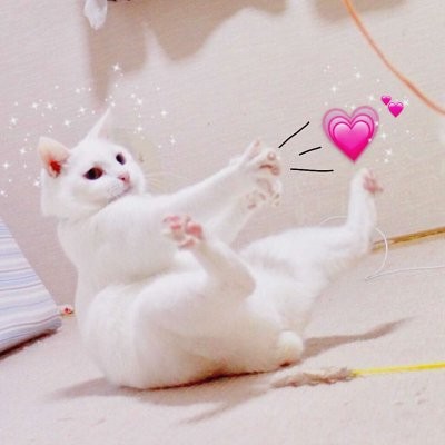 让人过目不忘的唯美微信头像8