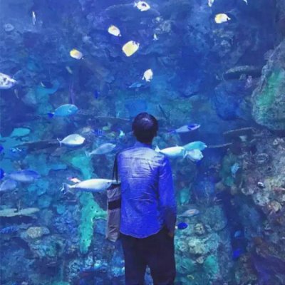 洪灾的图片是什么样的11