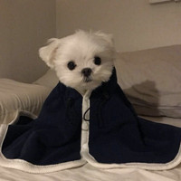 开始自律的头像男生1