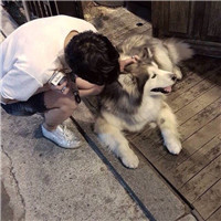抖音霸气酷炫的头像12