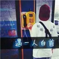 支持头像同步录制6