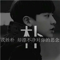 3d立体爱国头像董字11