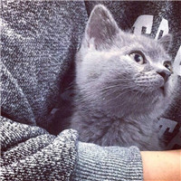 背影情侣头像猫和老鼠4