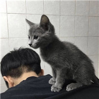 独一无二搞笑微信头像9