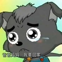 微信卡通情侣头像呆萌猪12