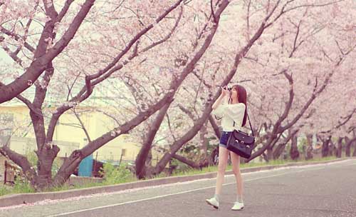 旅行唯美句子