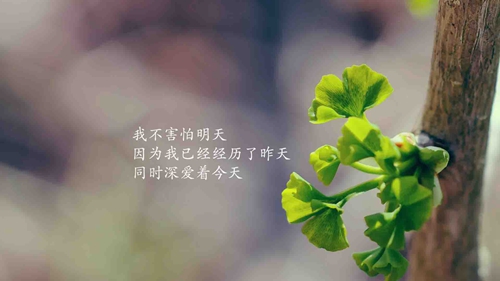 闺蜜分手了安慰的句子短句