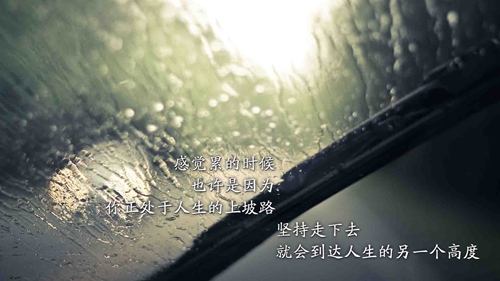 带雨字的个人签名