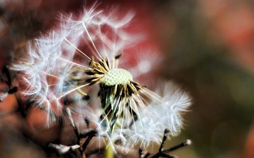 教师节祝福的话经典语录