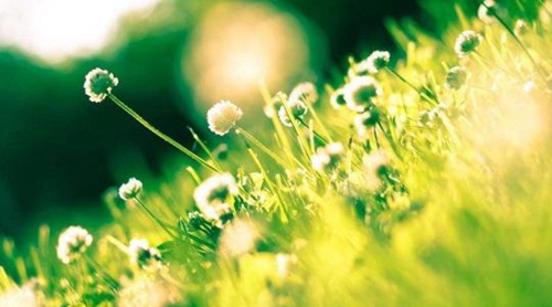 四年级英语单词游戏网名
