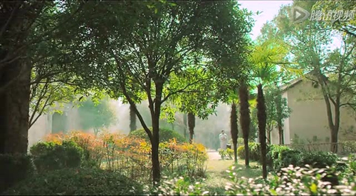 阳西有什么旅游景点（阳西县有什么景点）