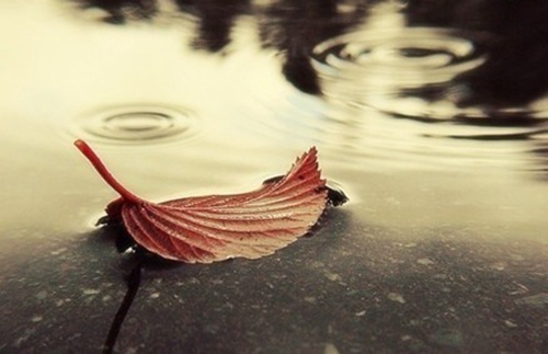 李雨哲个性签名