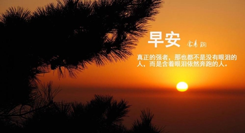 情感语录图片大全短句子