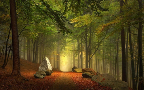 个性签名励志青春风景
