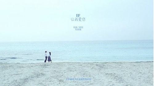 上海莲荷