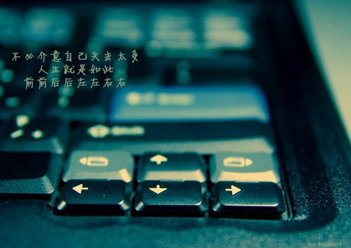 琼海官塘海南哪个楼盘的房价最低？