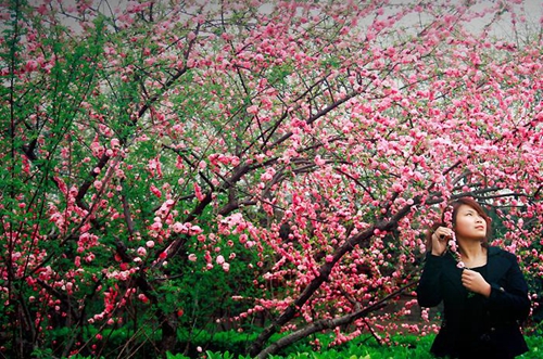 苹果手机怎么买机票（苹果手机订机票）