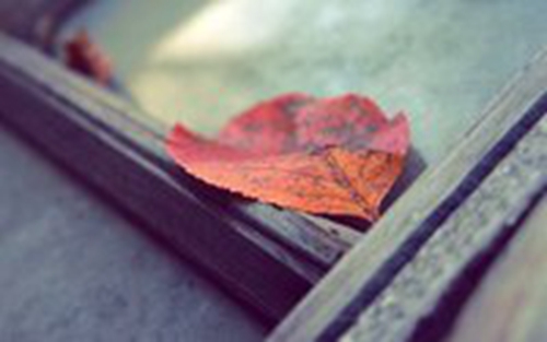 元宵应该开水煮还是冷水煮（汤圆冷水煮还是热水煮）