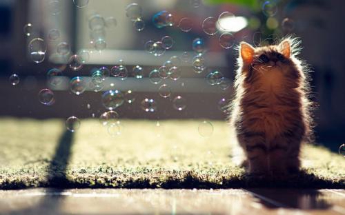 云南房价为什么升这样猛（我想了解一下云南的房价）