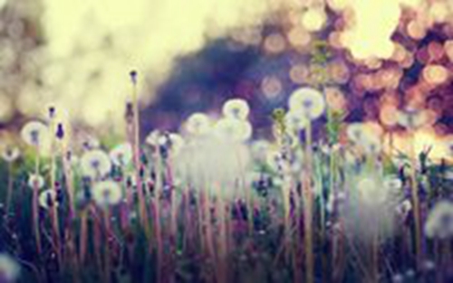 朋克还是英伦Do You Remember - The Summer Obsession