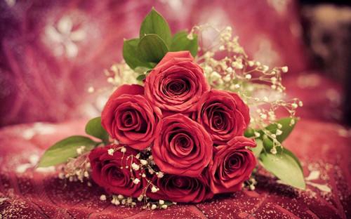 ❤今天是你的生日，为了表示祝贺，所有女厕和女浴室均免费向您开放，欢迎光临!