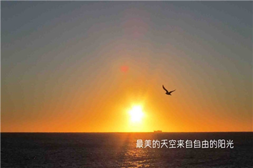 同事对新婚父母祝福语大全（精选20句）