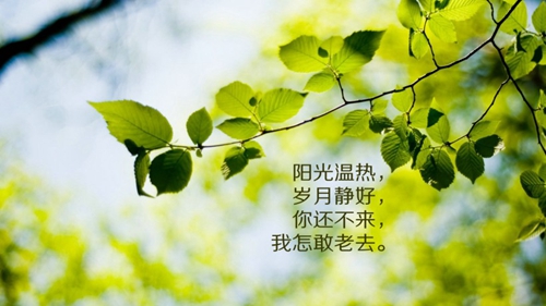 微信心情不好个性签名大全（精选20句）