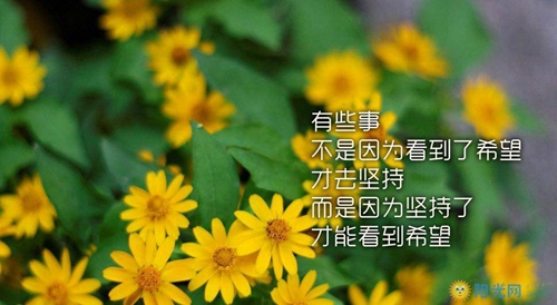 人生格言的句子唯美图片