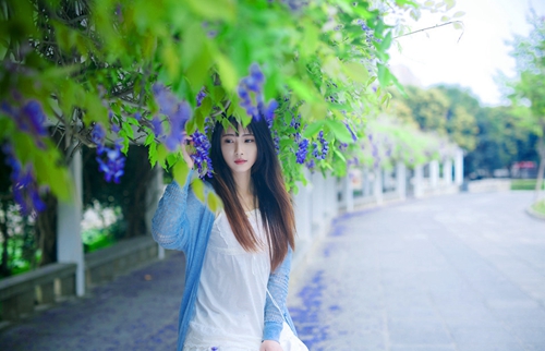 描写面相的搞笑句子
