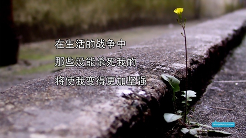 电信员工格言大全