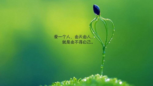 25句如果的超拽名言