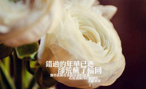快手感情伤感语句