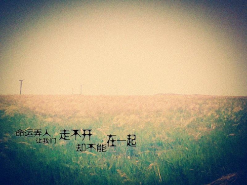 英文爱情名言句子大全